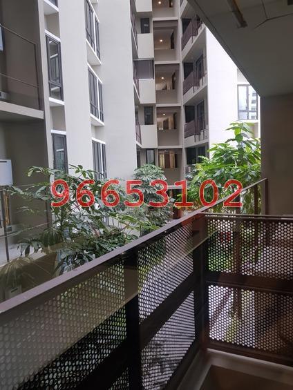 d'Nest (D18), Condominium #161335522
